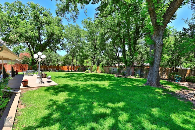 view of yard with a patio area