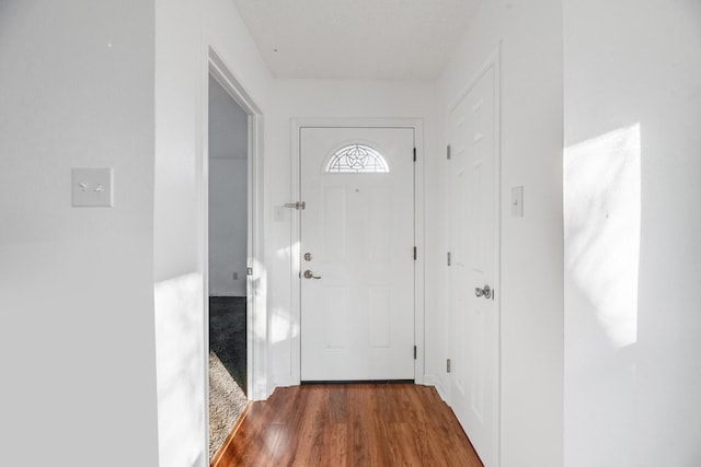 doorway with dark hardwood / wood-style floors