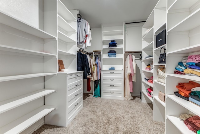 walk in closet with light carpet