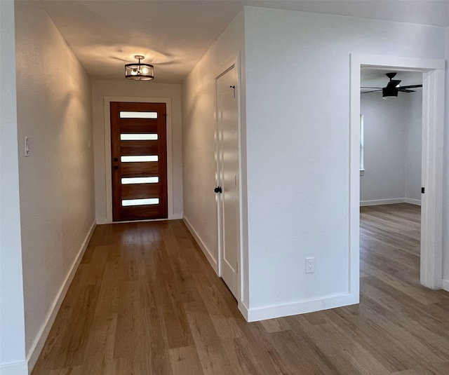 doorway to outside featuring ceiling fan and wood-type flooring