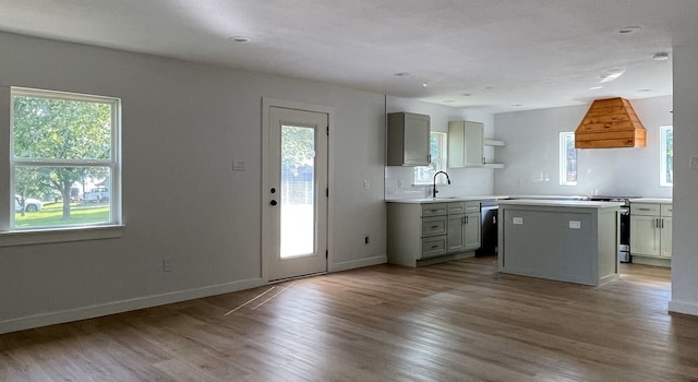 kitchen featuring sink, appliances with stainless steel finishes, hardwood / wood-style floors, custom range hood, and a kitchen island