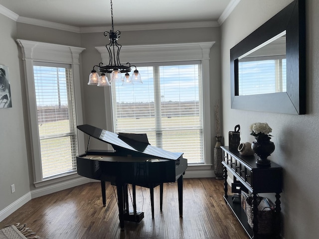 miscellaneous room with crown molding, plenty of natural light, and dark wood-type flooring