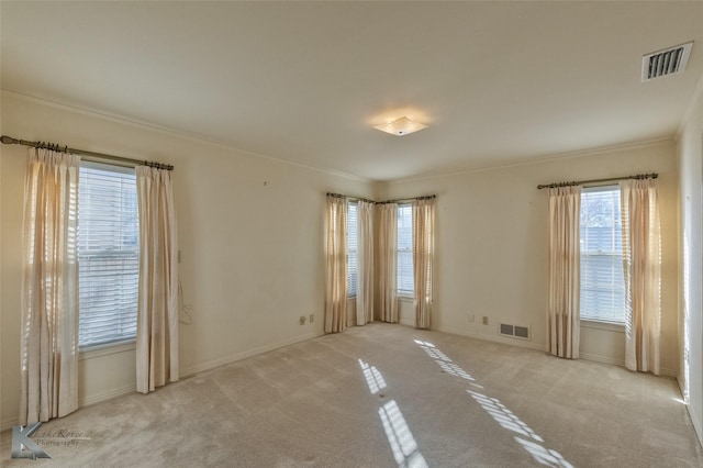 spare room with ornamental molding, light carpet, and a wealth of natural light