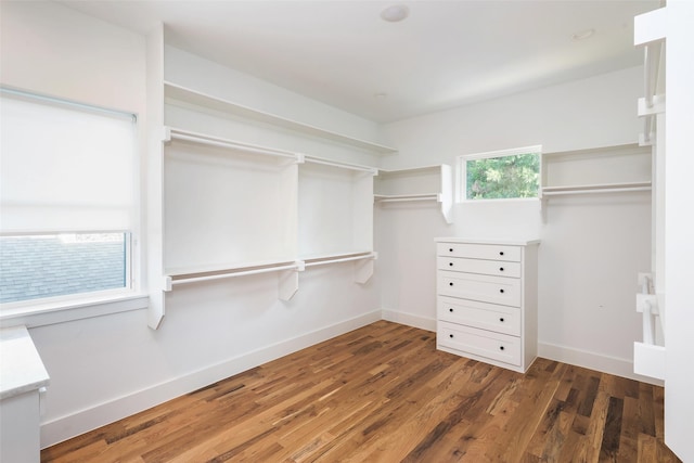 spacious closet featuring dark wood-type flooring