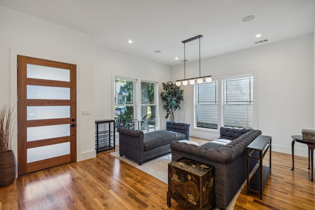 living room featuring wood-type flooring