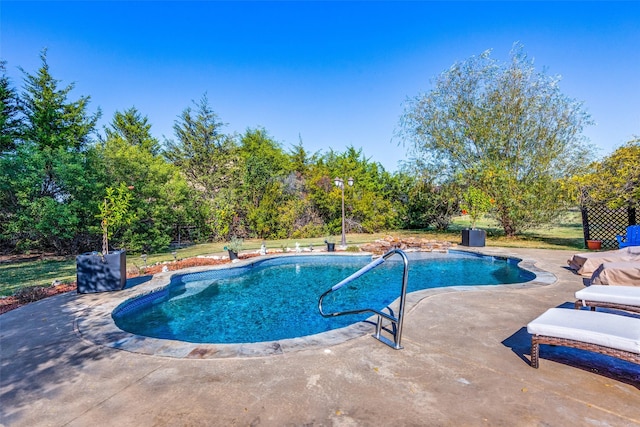 view of swimming pool with a patio area