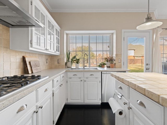 kitchen featuring ventilation hood, white cabinets, sink, appliances with stainless steel finishes, and tasteful backsplash