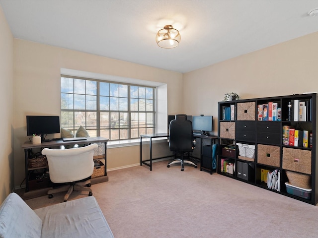 view of carpeted office space