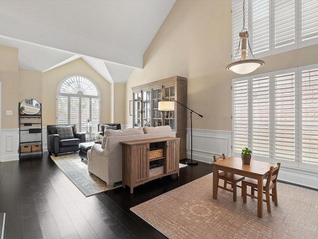 living room with dark wood-type flooring and vaulted ceiling