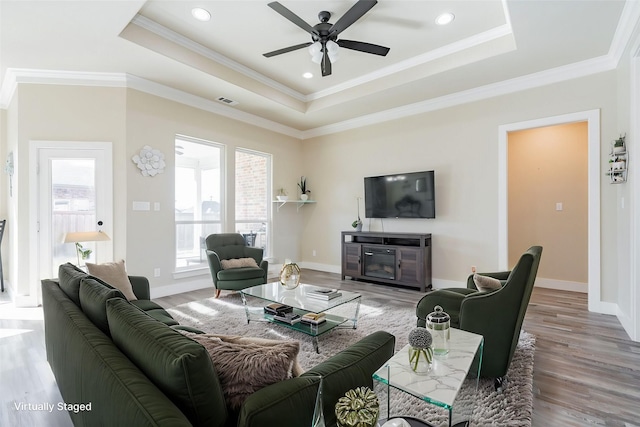 living room featuring a raised ceiling and ornamental molding