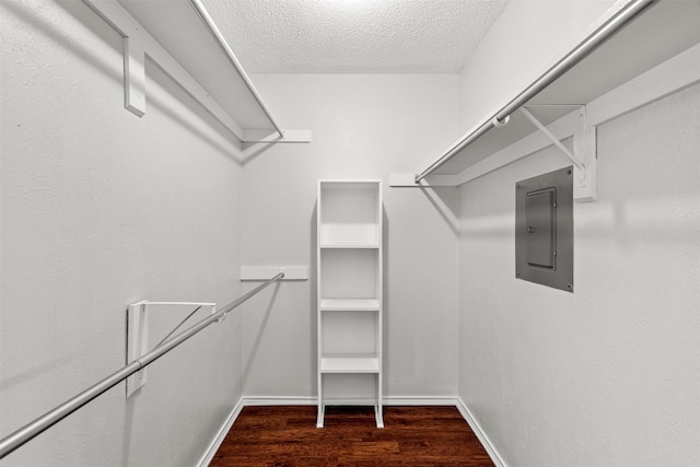 walk in closet with dark hardwood / wood-style floors and electric panel