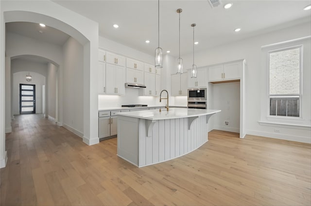 kitchen featuring a sink, light countertops, light wood-style flooring, stainless steel appliances, and under cabinet range hood
