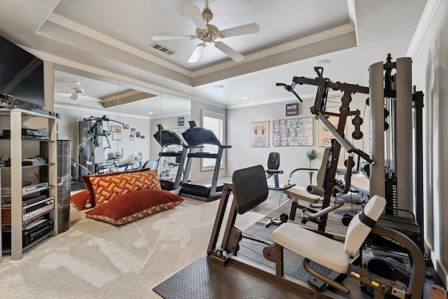 exercise room with ceiling fan, a raised ceiling, carpet floors, and ornamental molding