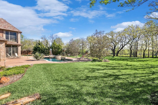 view of yard with a patio area