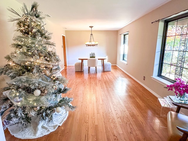 dining area with light hardwood / wood-style floors, a wealth of natural light, and a chandelier