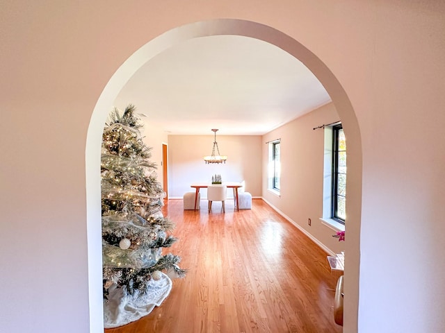 hallway with wood-type flooring