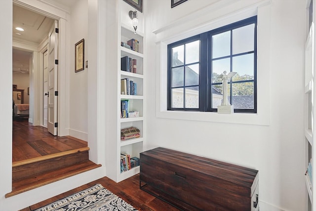 hall featuring dark hardwood / wood-style floors and built in shelves