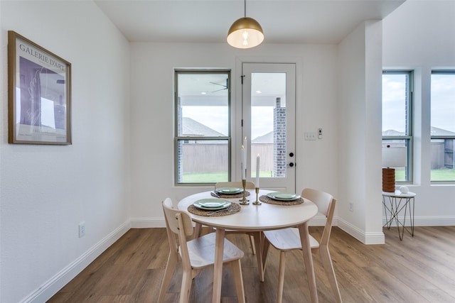 dining room featuring a wealth of natural light, baseboards, and wood finished floors