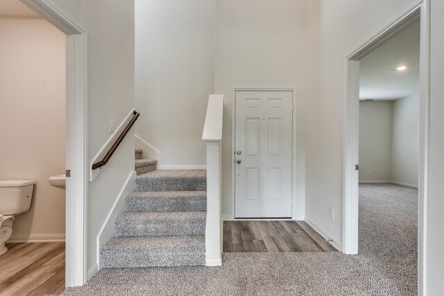 stairway featuring carpet