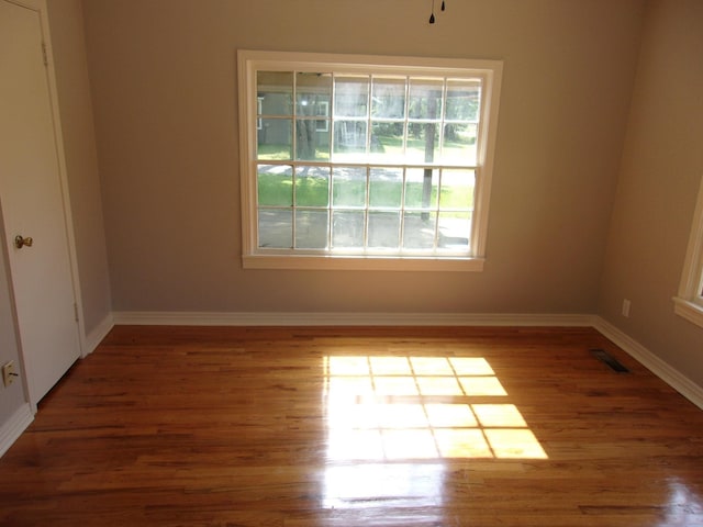 spare room with wood-type flooring