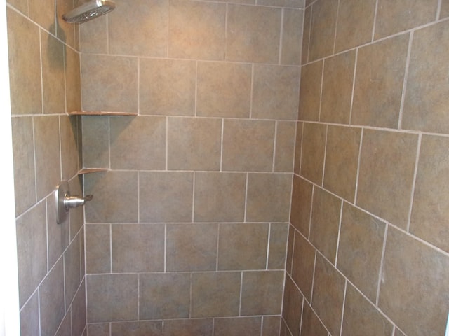 interior details featuring tiled shower