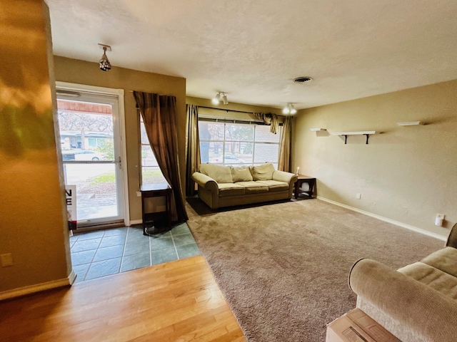 living room featuring light hardwood / wood-style flooring