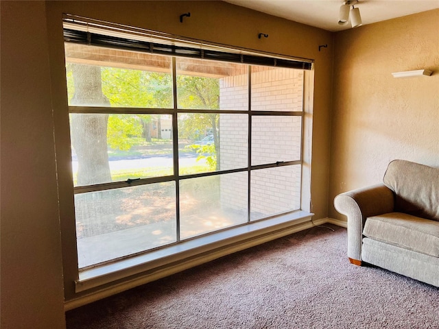 1721 Cooper Dr, Irving, TX 75061 - living area with carpet and a textured wall