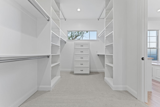 walk in closet with light colored carpet