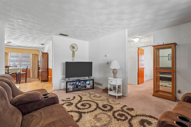 living room with light colored carpet and a textured ceiling