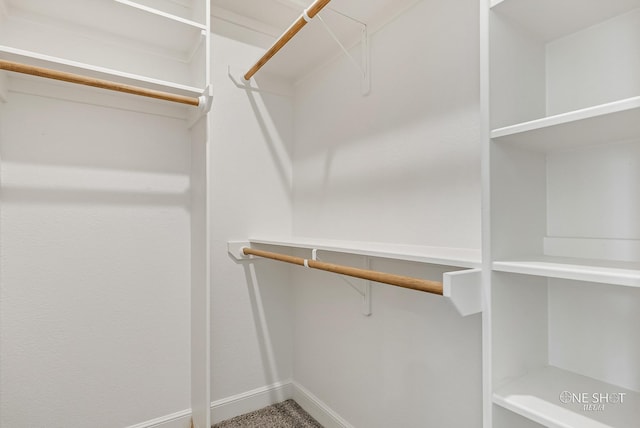 walk in closet with carpet flooring