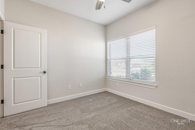 empty room with ceiling fan and carpet floors