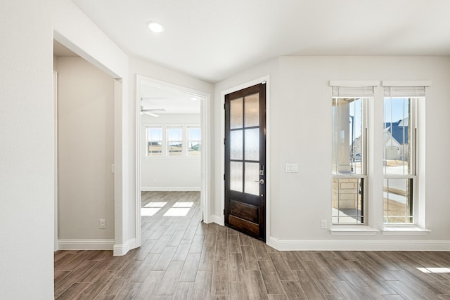 foyer with hardwood / wood-style flooring and a healthy amount of sunlight