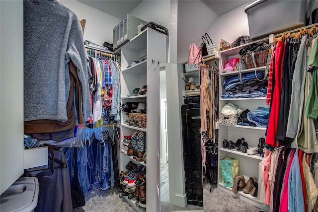 spacious closet featuring carpet flooring