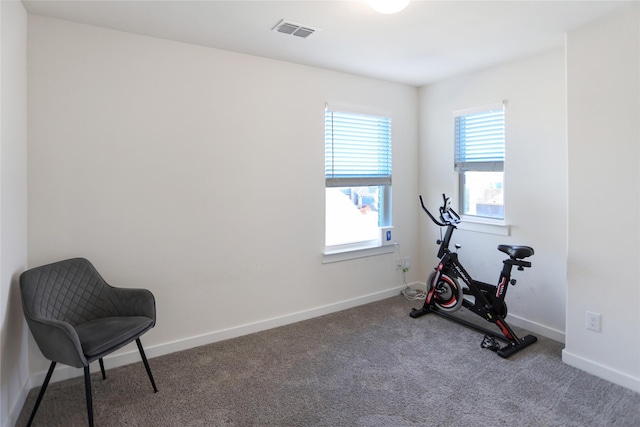 workout area with carpet flooring