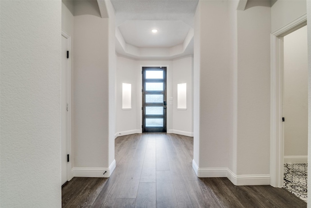 foyer entrance featuring dark hardwood / wood-style flooring and a tray ceiling