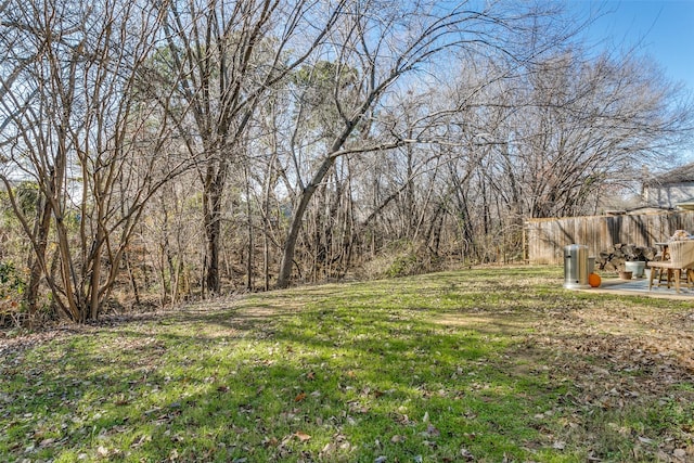 view of yard featuring a patio area