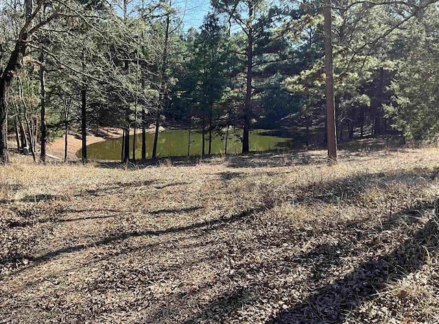 view of local wilderness featuring a water view