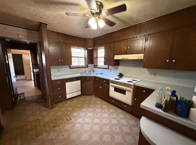 kitchen with dark brown cabinets, a textured ceiling, white appliances, ceiling fan, and sink