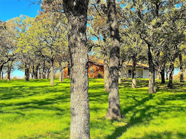 view of home's community featuring a yard