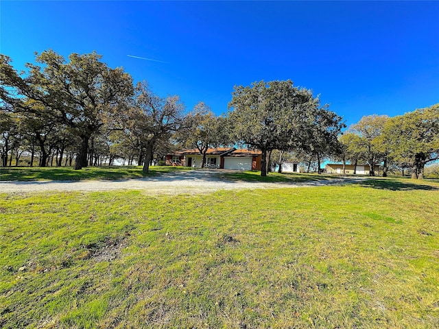 view of yard featuring a garage