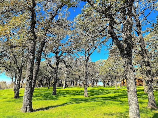 view of community featuring a lawn