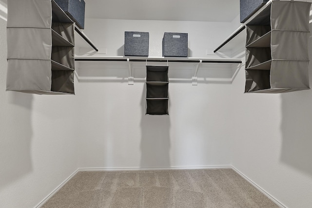 walk in closet with carpet floors