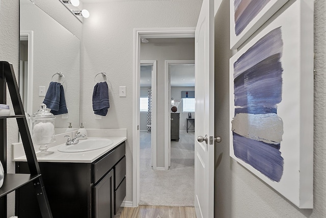 bathroom featuring hardwood / wood-style floors and vanity