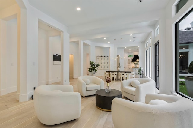 living room featuring light hardwood / wood-style floors and plenty of natural light