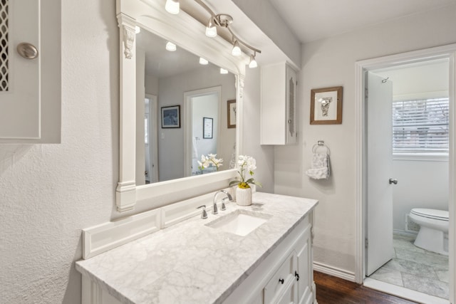 bathroom featuring vanity, wood-type flooring, and toilet