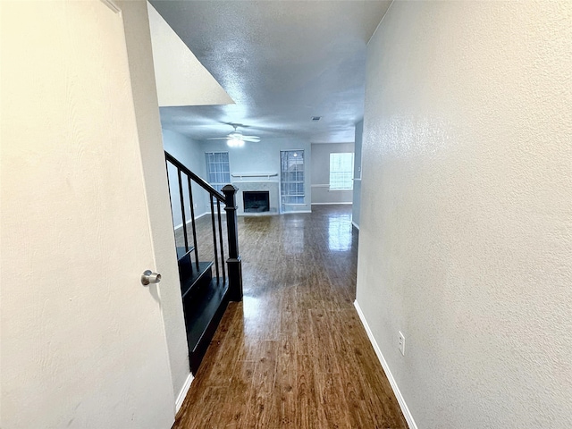 corridor with dark hardwood / wood-style floors