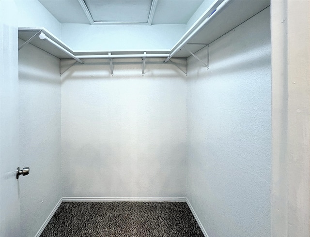 spacious closet with carpet flooring