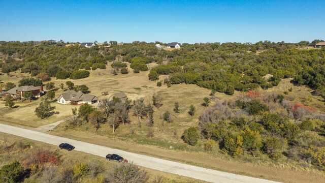 Listing photo 2 for 1417 Evening Primrose Dr, Graford TX 76449