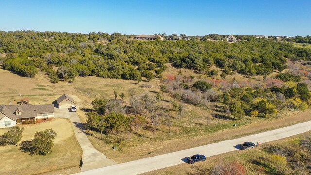 Listing photo 3 for 1417 Evening Primrose Dr, Graford TX 76449