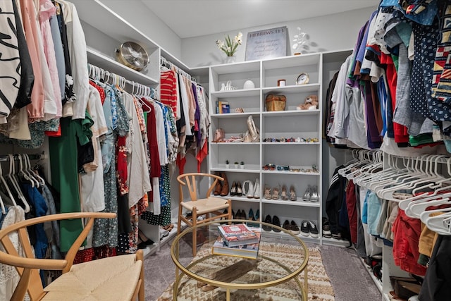 walk in closet featuring carpet flooring